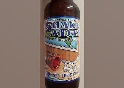#20. Shake A Day