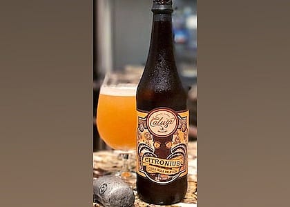 #7. Calusa Brewing