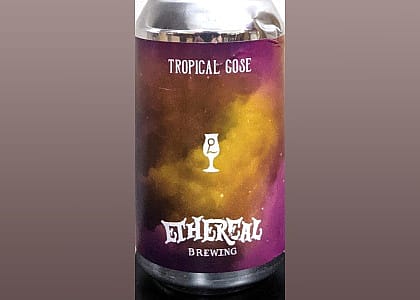 #15. Tropical Gose