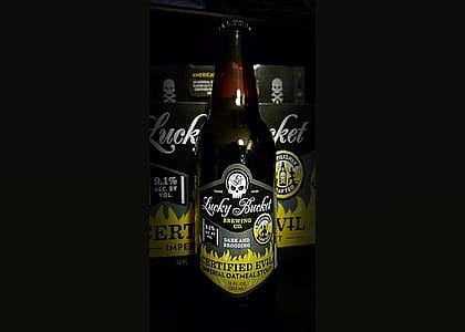 #10. Lucky Bucket Brewing Co.