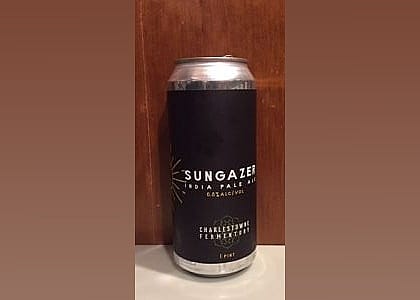 #4. Sungazer