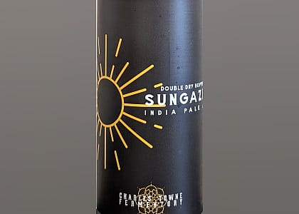 #7. Sungazer - Double Dry-Hopped