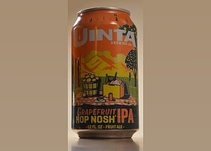 #19. Grapefruit Hop Nosh IPA