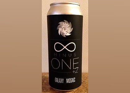 #21. Infinity Minus ONE +2