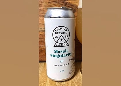 #4. Mosaic Singularity