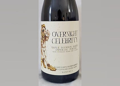#18. Overnight Celebrity