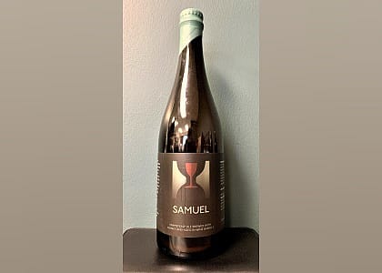 #6. Samuel