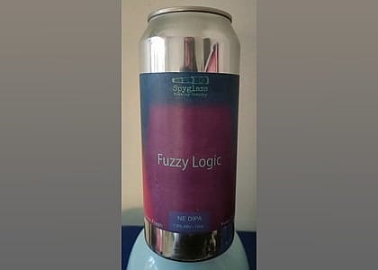 #23. Fuzzy Logic