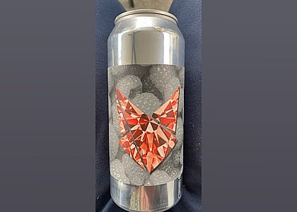 #22. Vajazzled