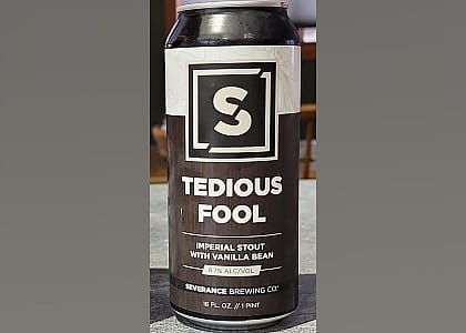 #4. Tedious Fool
