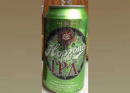 #22. Hopzone IPA