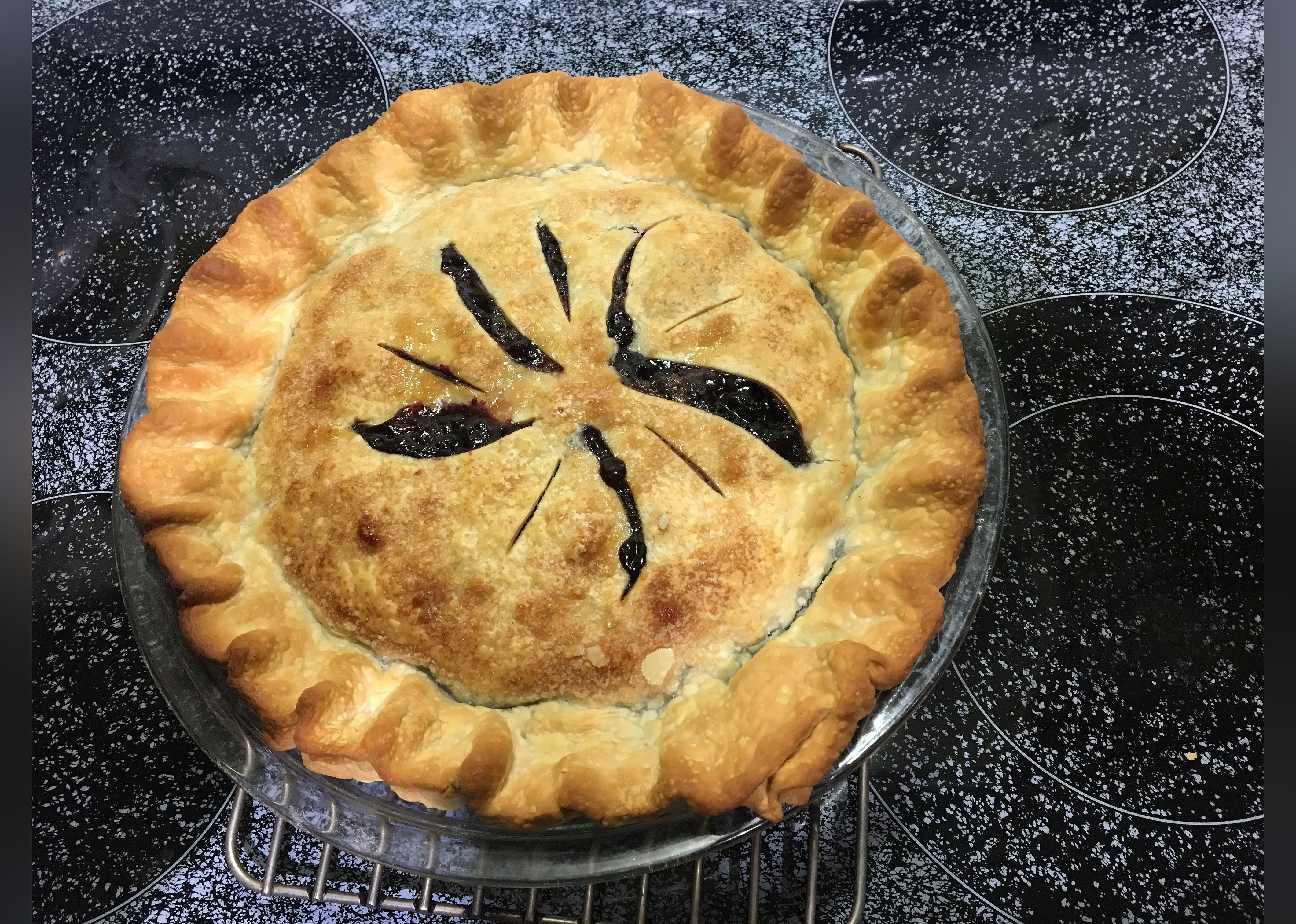 Concord Grape Pie