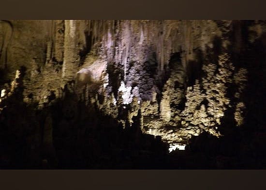 #22. Bat Flight Program in Carlsbad Caverns National Park