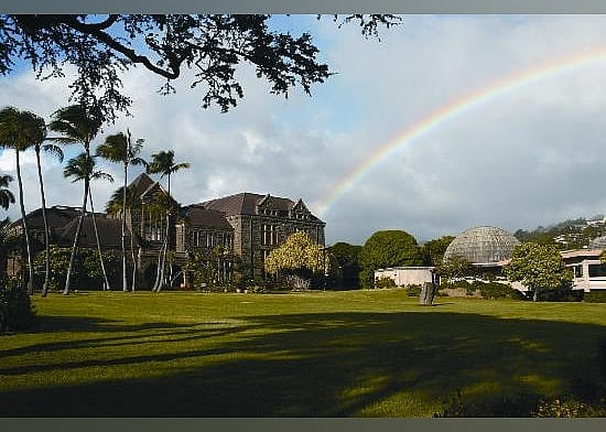 #4. Bishop Museum