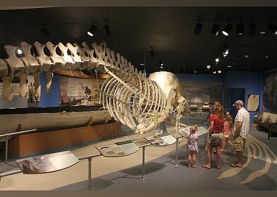 #12. New Bedford Whaling Museum