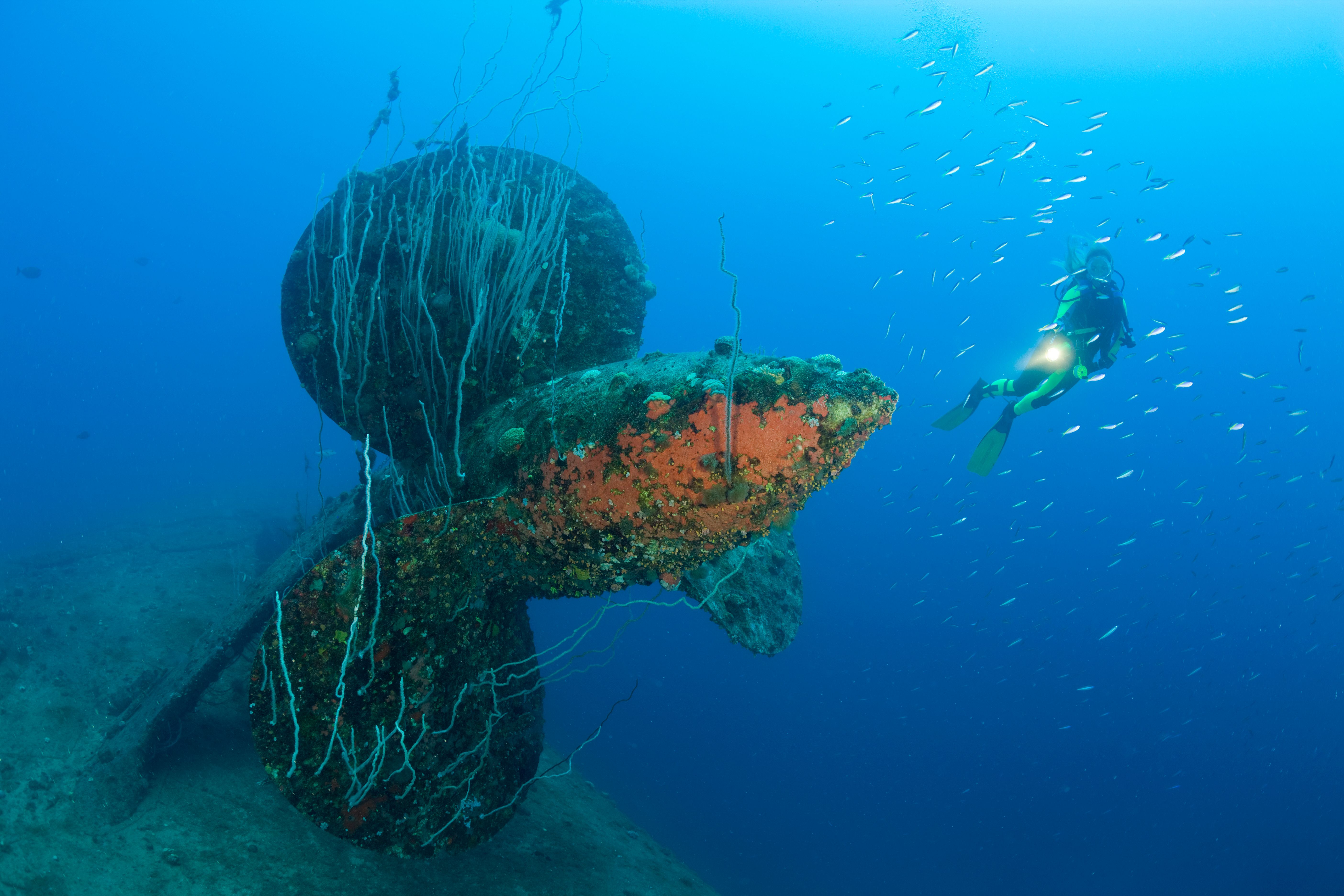 A diver circles the propeller of HIJMS Nagato Battleship 