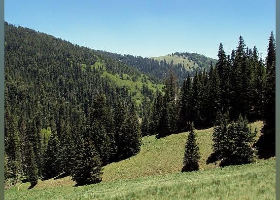 #16. Lincoln National Forest
