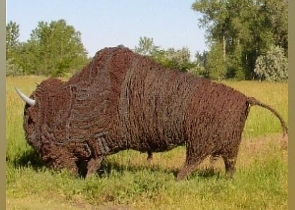 #16. Sod House Museum