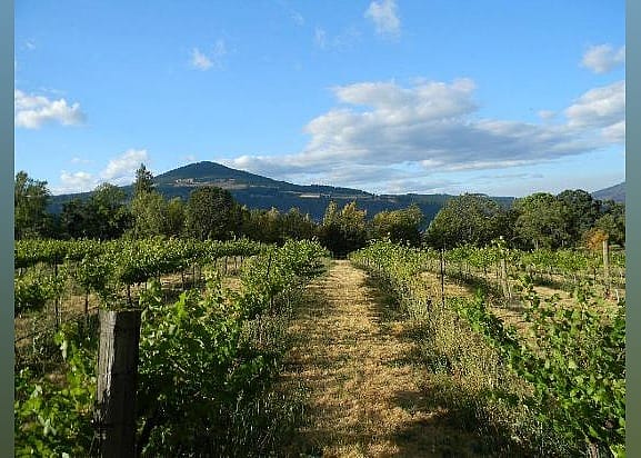 #17. Cathedral Ridge Winery