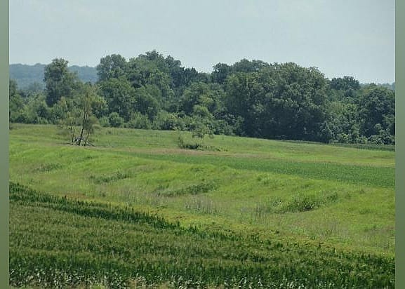 #4. Mississippi Delta