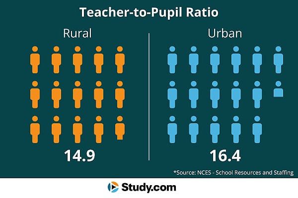 Infographic showing classes sizes.