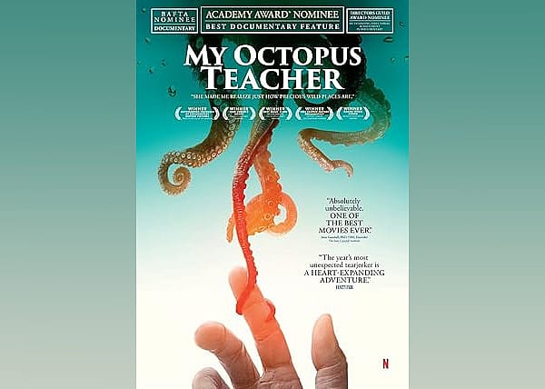 #8. My Octopus Teacher