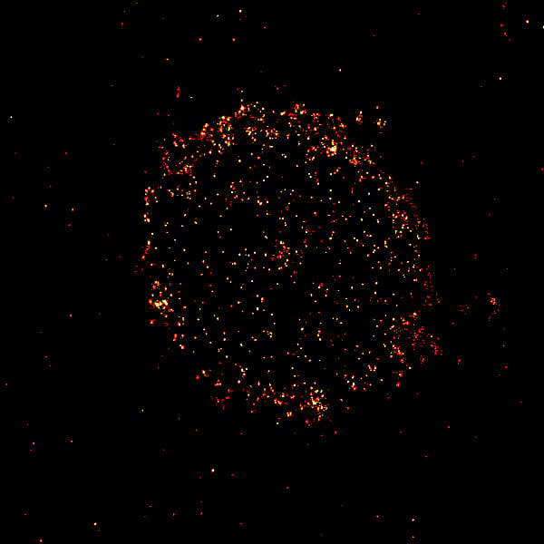 A new microscopy technique can light up the protein CD-19 on the surface of cancer cells which can help determine which patients could benefit from CD-19-targeting therapies.