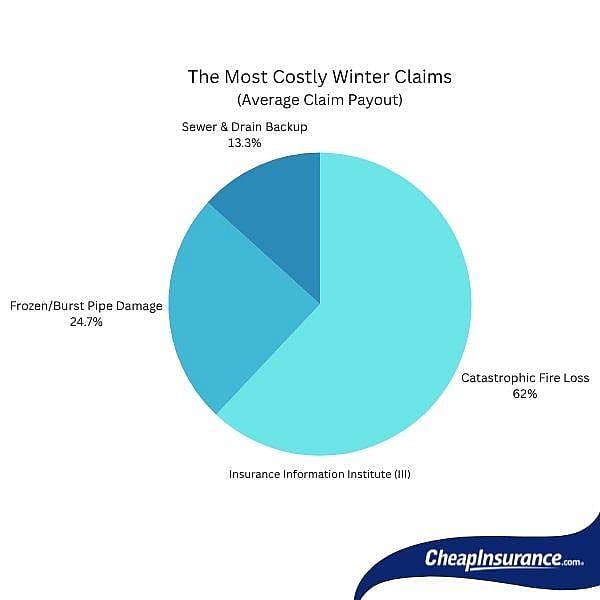 Pie chart showing the most costly winter claims (by average claim payout).