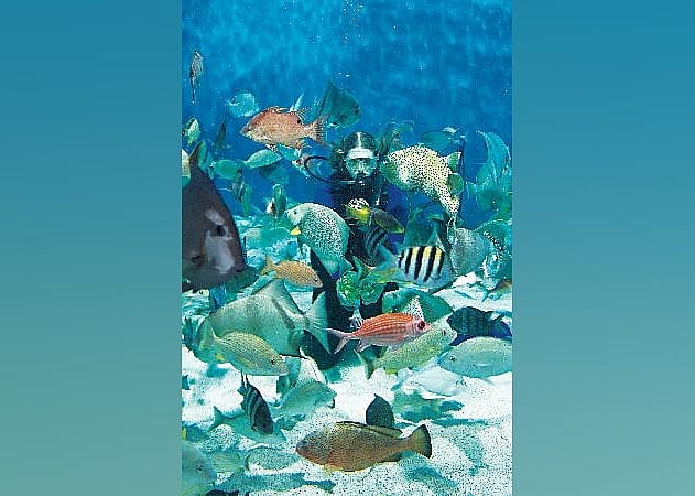 #1. National Aquarium