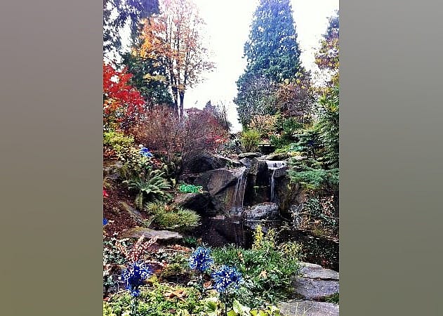 #23. Bellevue Botanical Garden