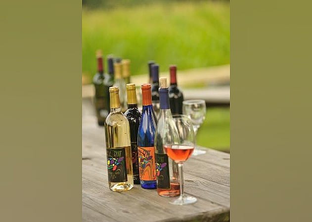 #16. Turtle Run Winery