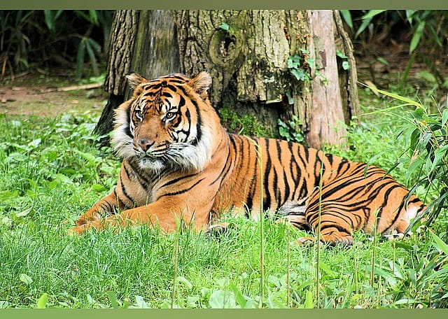 #21. Smithsonian's National Zoo & Conservation Biology Institute