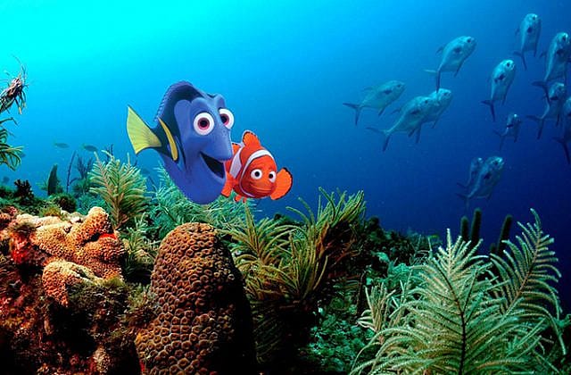 #18. Finding Nemo