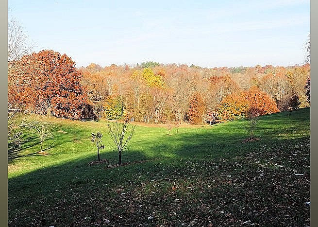 #25. Cherokee Park