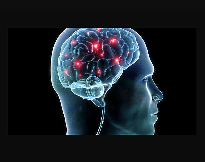 We only use ten percent of our brains