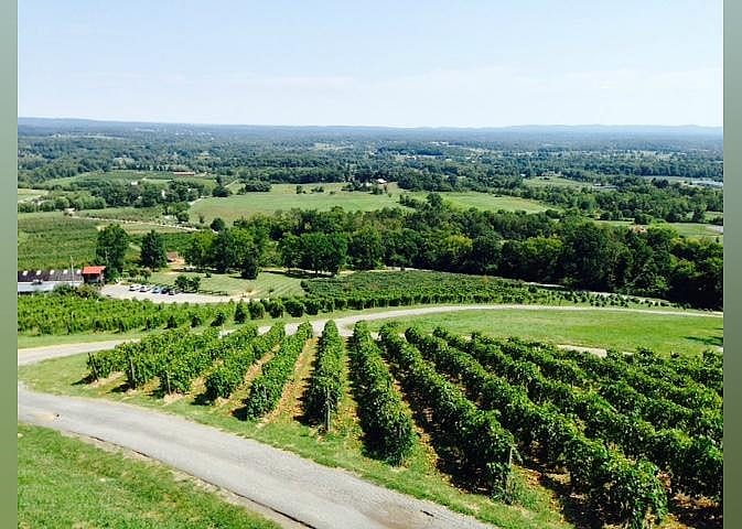 #9. Bluemont Vineyard