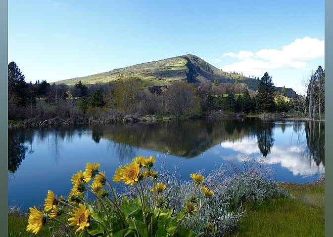 #9. Columbia Gorge Discovery Center & Museum