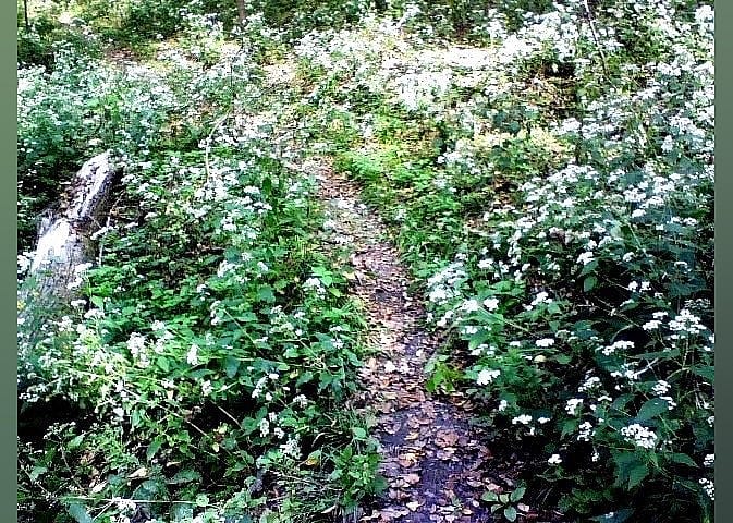 Hiking: Neale Woods Nature Reserve