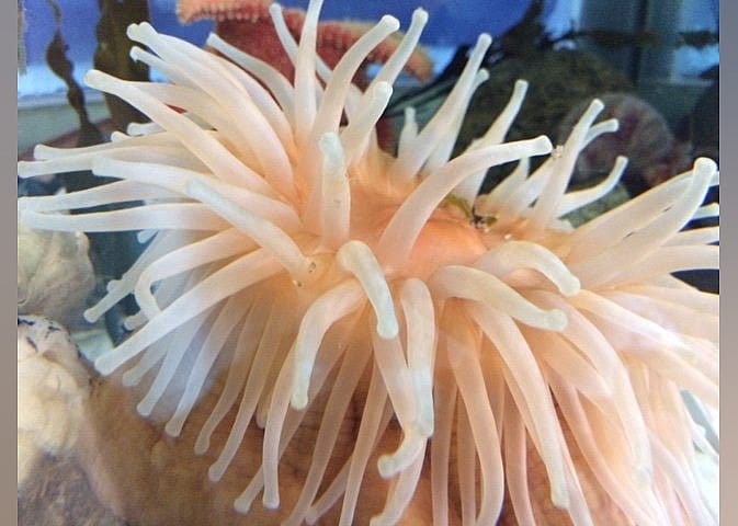 #6. Explore the Ocean World Oceanarium