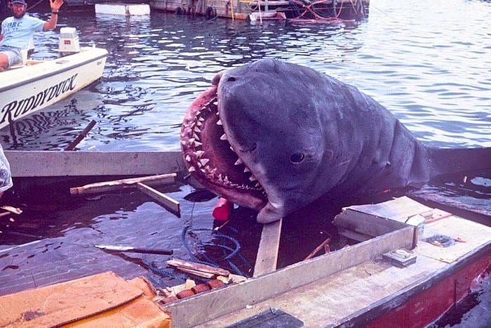 #30. Jaws