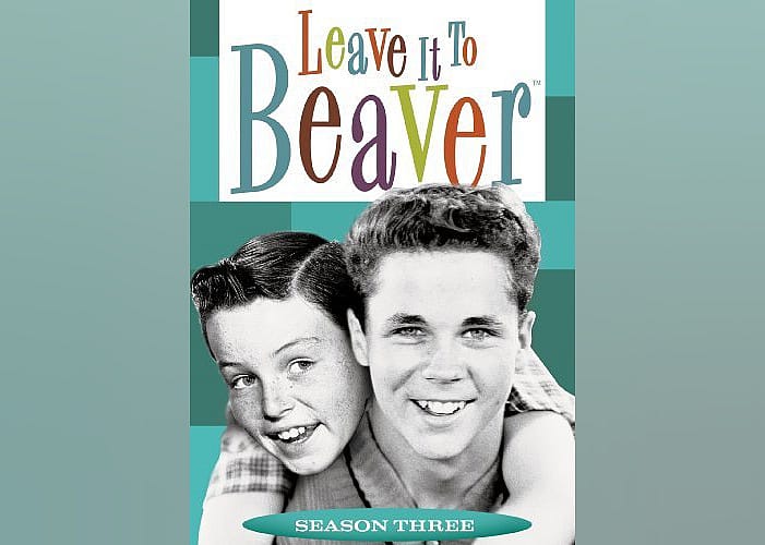 #20. Leave It to Beaver