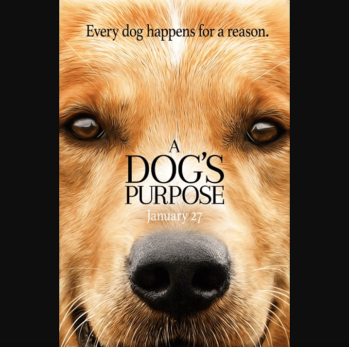 #33: A Dog's Purpose