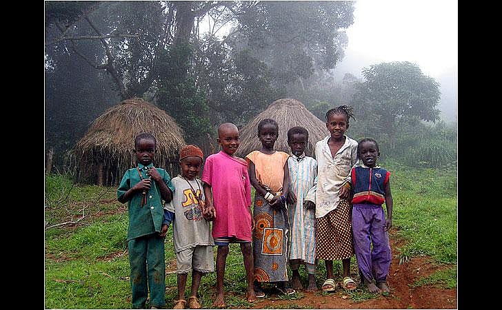 #17. Guinea