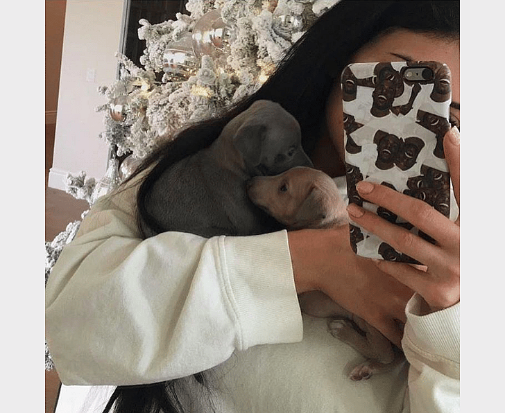 Kylie Jenner: Norman, Bambi, and their puppies; and Sophia, Penny, and Ernie
