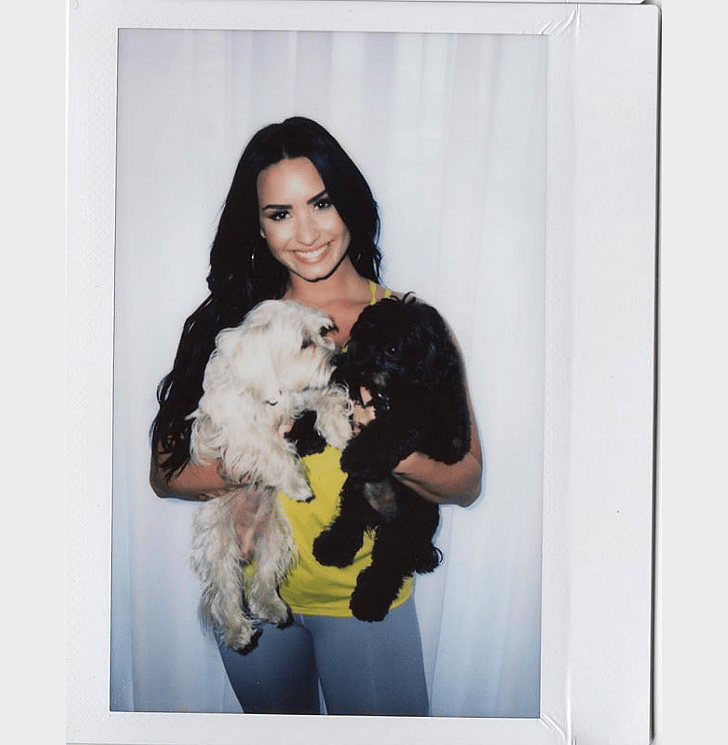 Demi Lovato: Batman