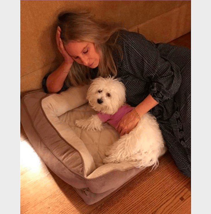 Barbra Streisand: Miss Fanny, Miss Violet, and Miss Scarlett