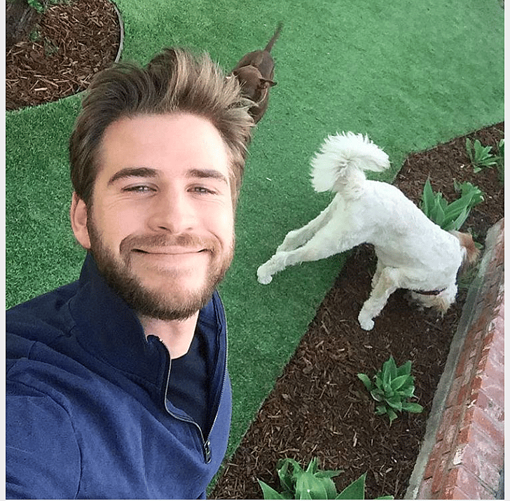 Liam Hemsworth: Tani