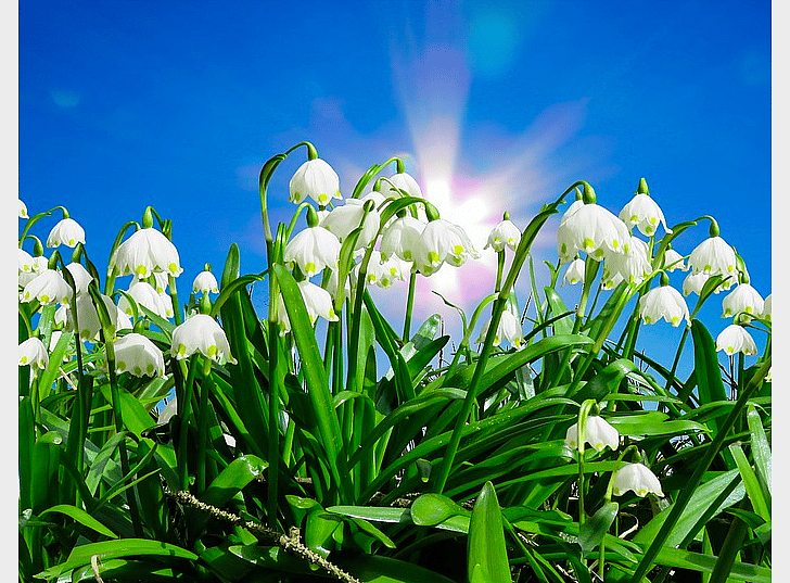 #3. Spring snowflake