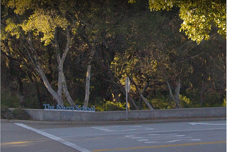 #53. The Nueva School