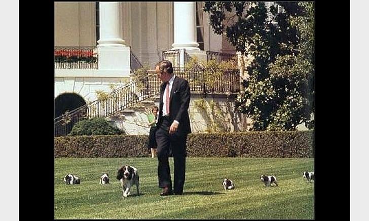 George Bush